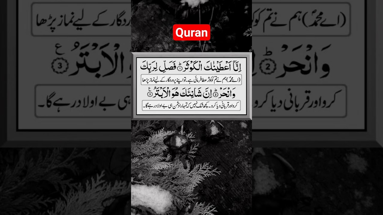 Quran recitation 🎧❣️#quran #quranforeever #quranwala #egzonibrahimi #سورة_الكوثر #shorts #shortsfeed