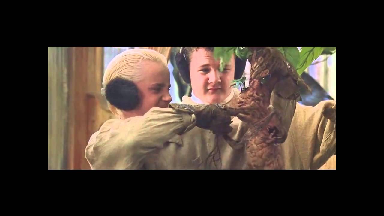 Draco und Harry   Halo