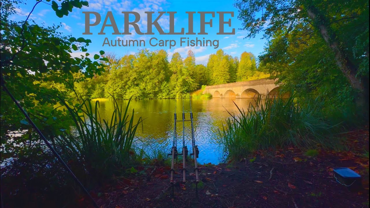 38. Carp Fishing The 230yr Old Estate Lake | The Bridge