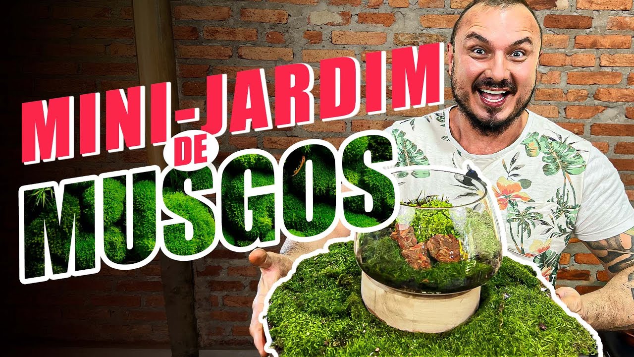 O Segredo para Criar MINI-JARDINS de MUSGO Perfeitos!