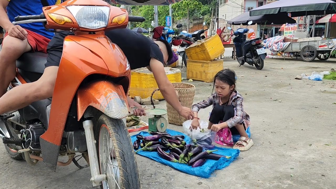 Homeless Girl Harvests the Eggplant Garden, Goes to the Market, Builds Bamboo House | OffGrid 