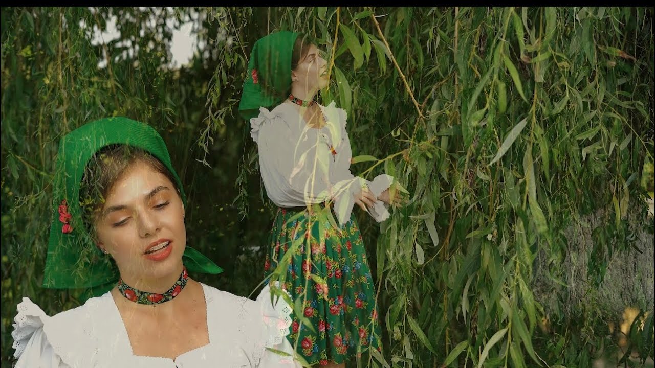 Priceasna - ” Sub o salcie pletoasă “