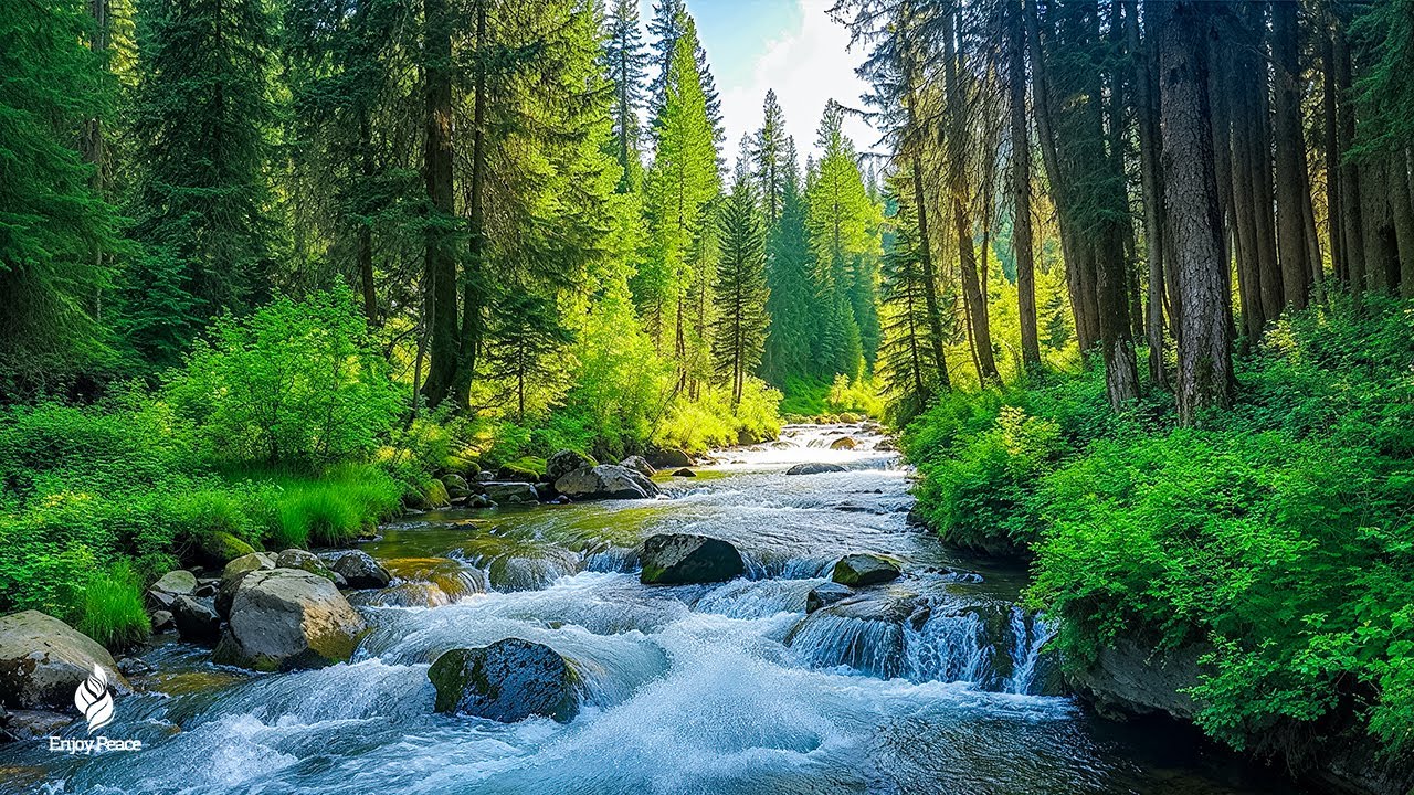 Soothing, relaxing music for stress relief and mental healing