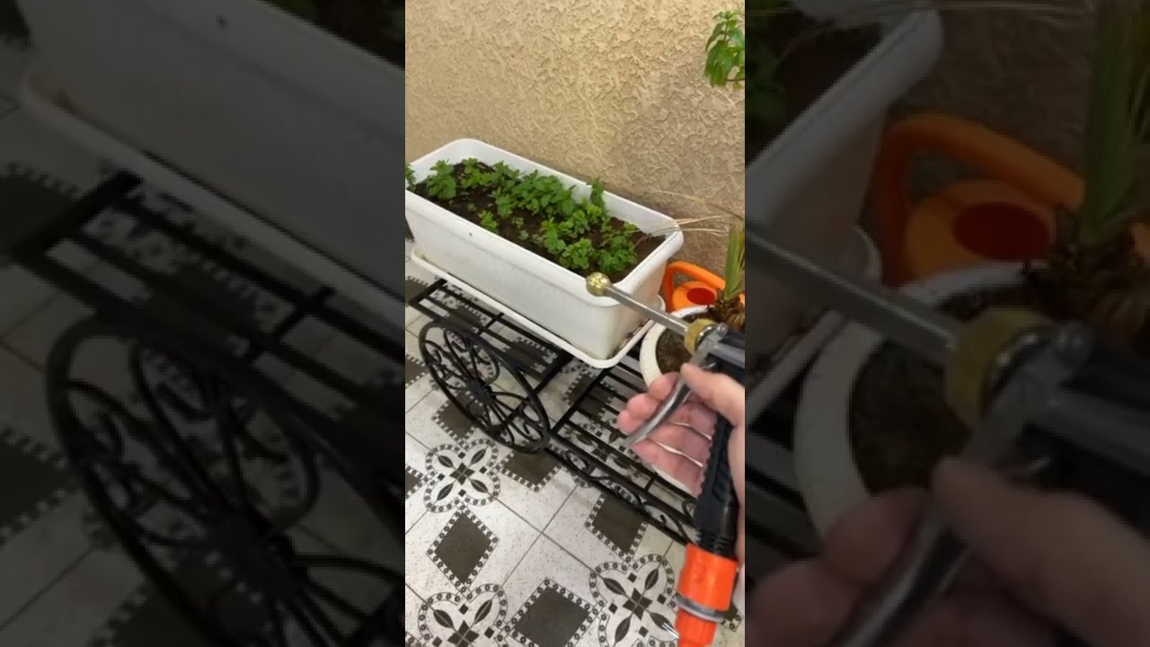 مضخة ماء ممتازه لغسيل السياره وغسيل الحوش والاشجار والحيونات وغيره كثير