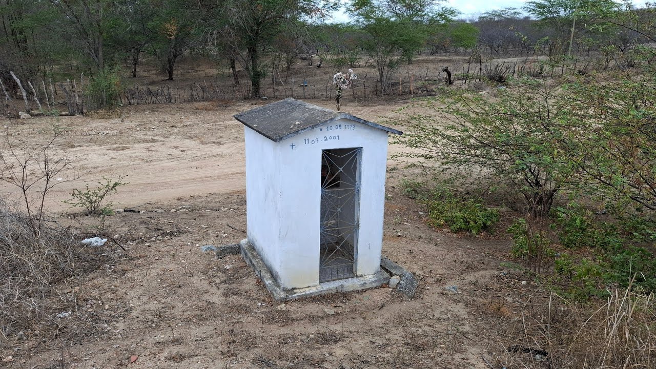 A ASSUSTADORA BR E A PONTE MALDITA QUE LEVOU 10 V1D4S PARA O CÉU 