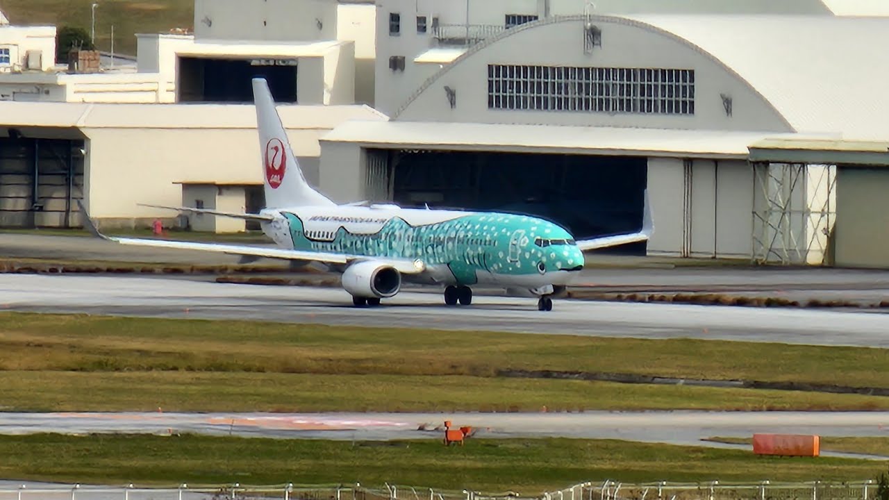 JTA結いジンベイジェット#那覇空港#結いジンベイ#JTA#ジンベイジェット#沖縄#南の島 