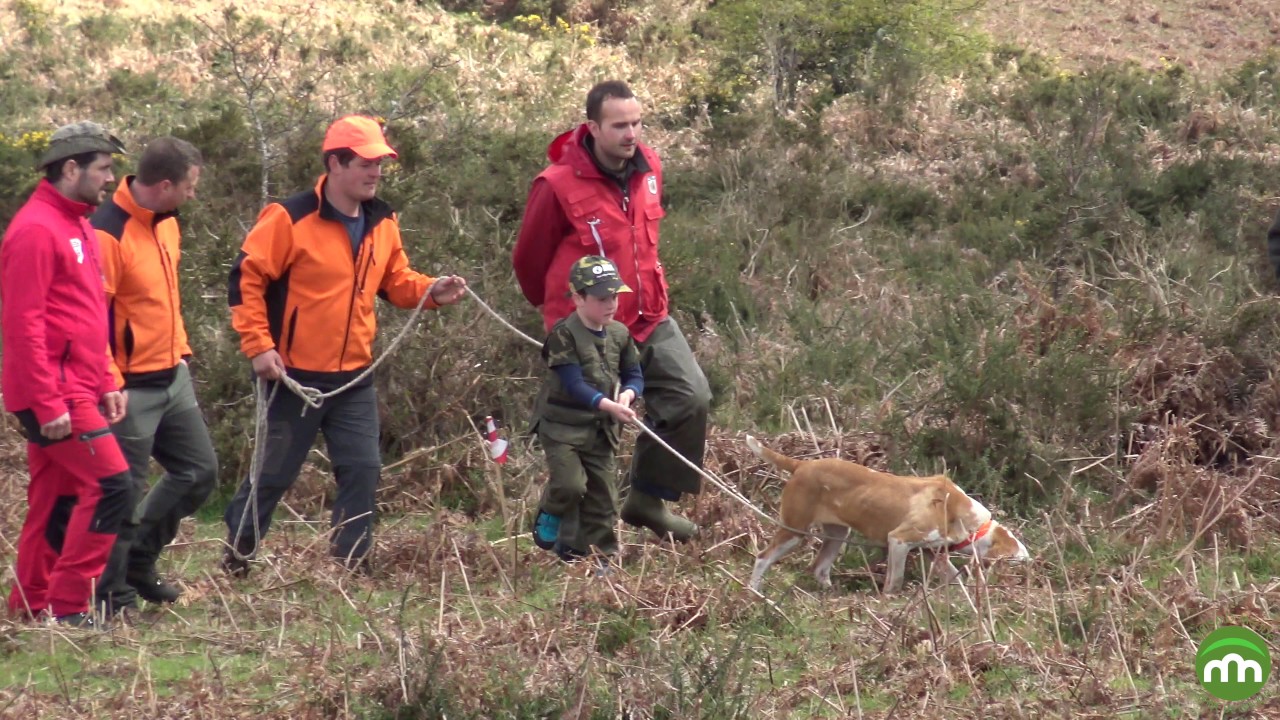 Rastro de jabalí para niños/as - Pruebas de trabajo para perros de caza Terra de Melide
