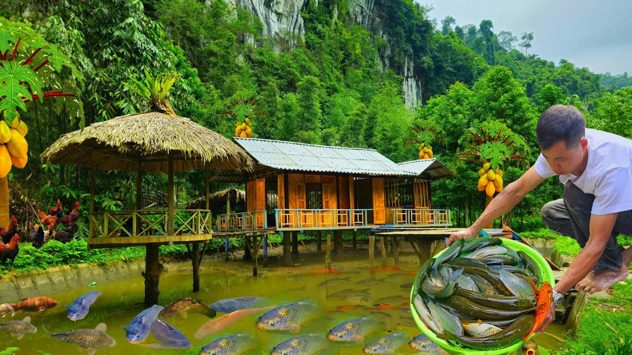Young CEO leaves the city for the forest. Renovates old house. Grows vegetables and raises fish.