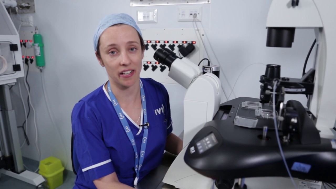 Embryo biopsy