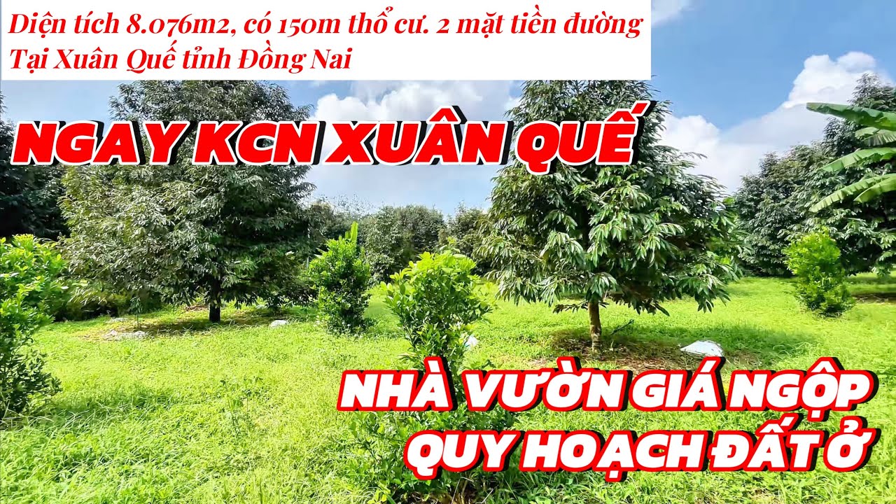 Cô chú lớn tuổi, bán vườn bao tâm huyết để dưỡng giá, tại Xuân Quế. Liền kề KCN lớn nhất Đồng Nai 
