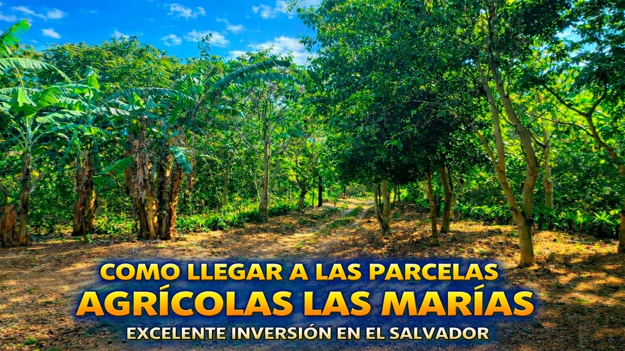 ⁣CÓMO LLEGAR a las PARCELAS AGRÍCOLAS LAS MARÍAS en LOS NARANJOS SANTA ANA