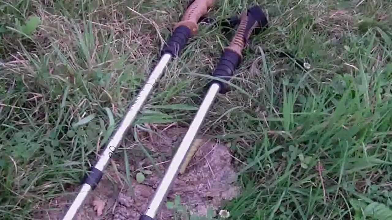 NORDING  WALKING.