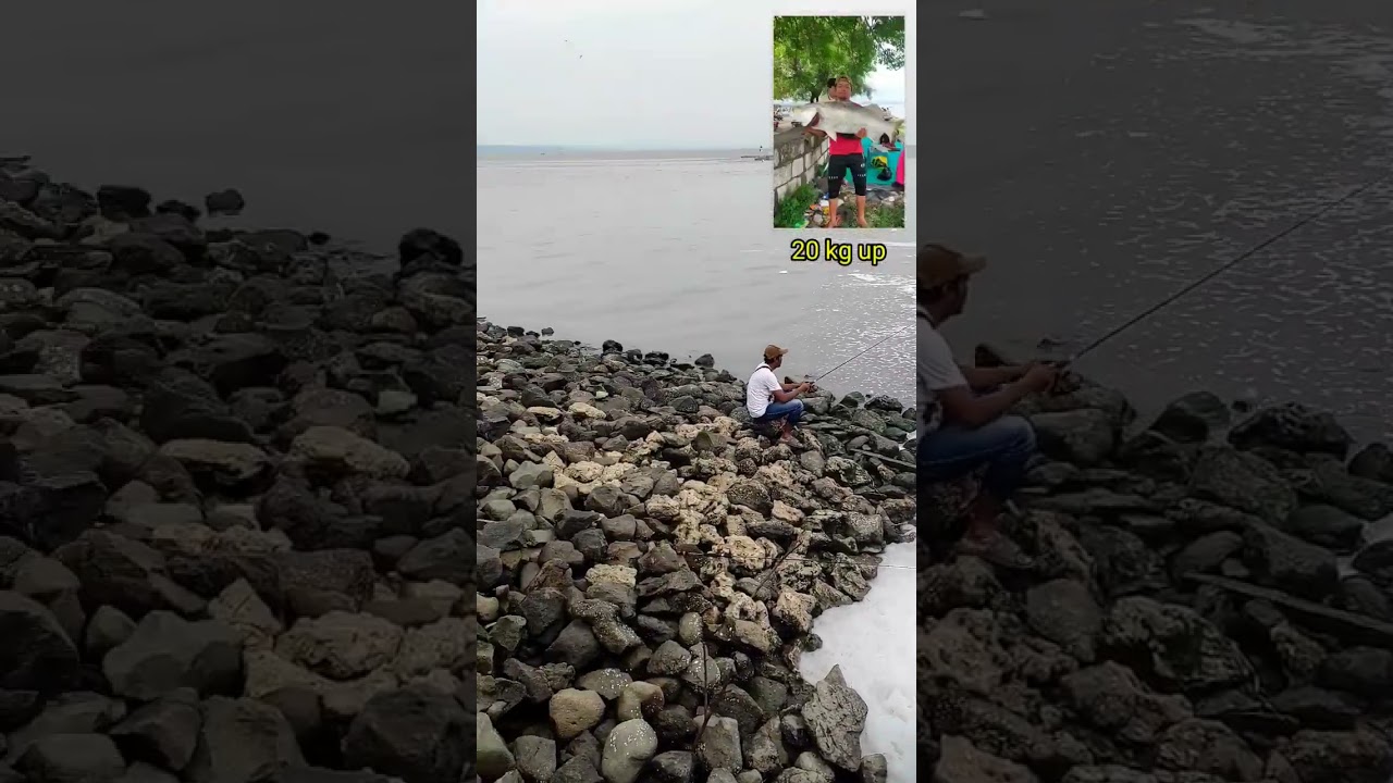 SPOT MANCING KAKAP PINGGIRAN SURAMADU
