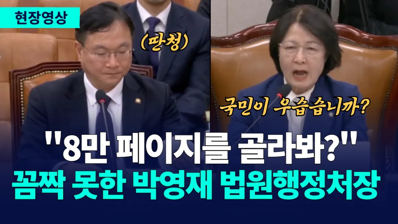 [사이다] 