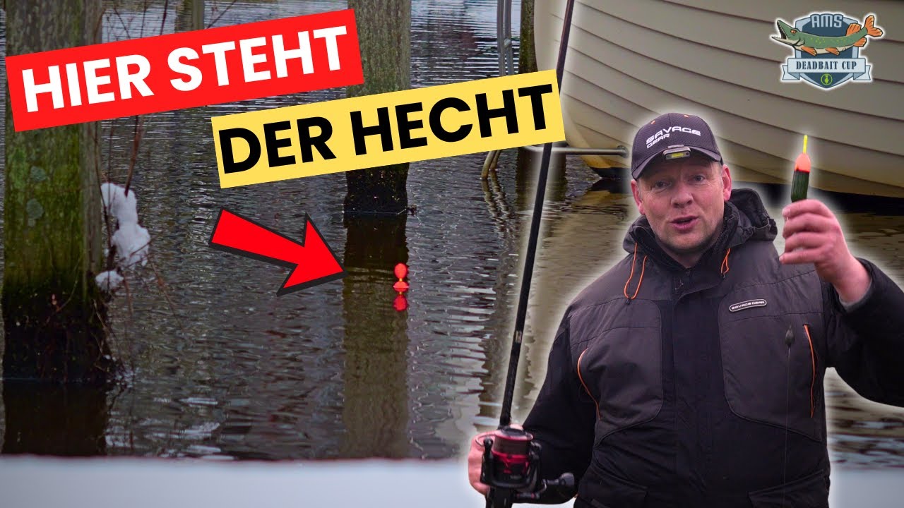 Hier steht der Hecht! – Nervenkitzel am Wasser beim AMS Deadbait Cup