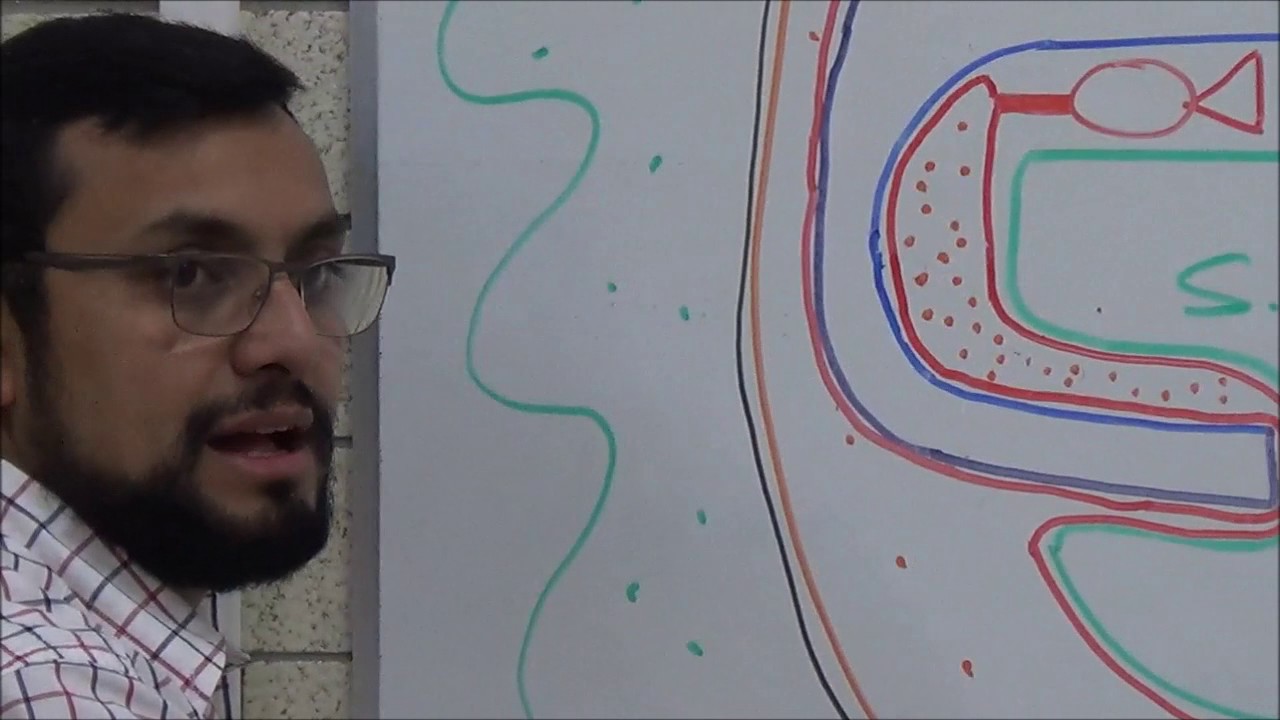 tubulación corporal (parte 1)