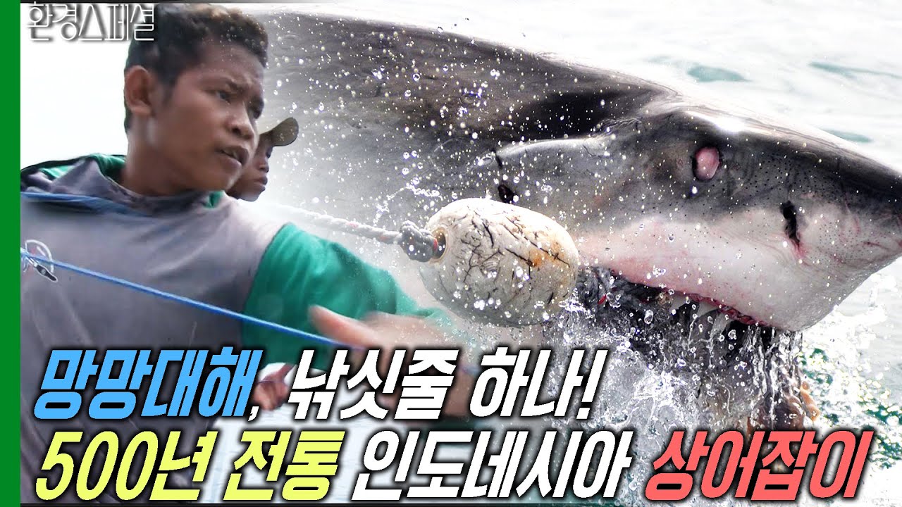 망망대해, 낚싯줄 하나! 500년 전통 인도네시아 상어잡이 [수요기획-인도네시아 카양간, 상어를 기다리는 마을] / KBS 20100113 방송