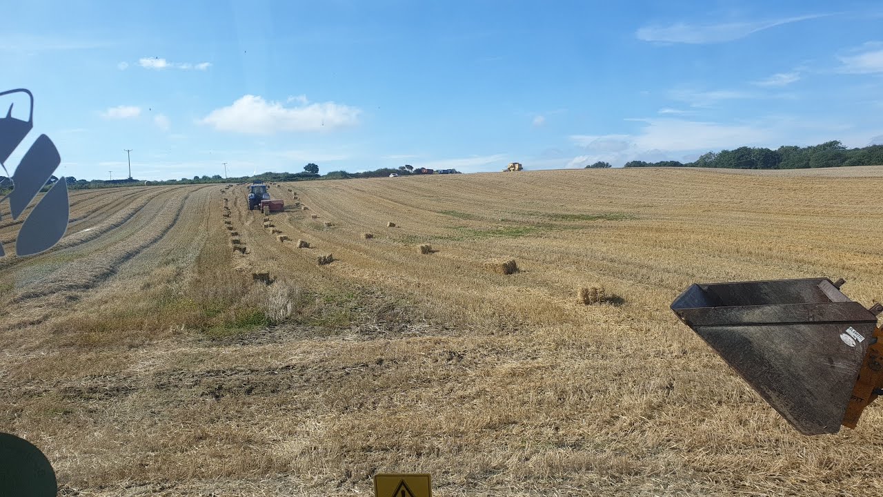 HARVEST 21 FINALLY UNDER WAY  COMBINE, CONVENTIONAL BALER, ROUND BAILING