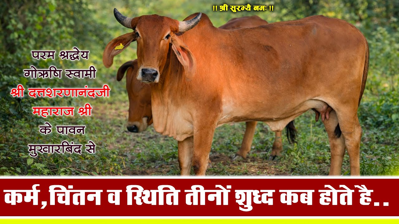 कर्म चिंतन और स्थिति तीनों शुद्ध कब होते है | गोऋषि महाराजश्री Shree Godham Mahatirth Pathmeda