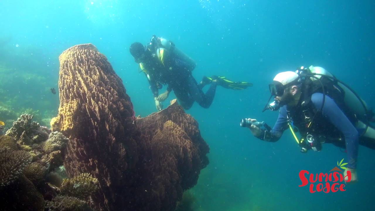 Sumisid Lodge, Seaquest Dive Center, Moalboal, Cebu