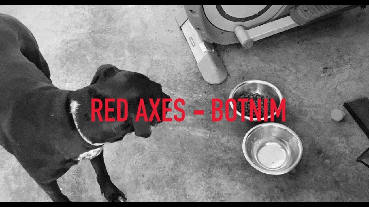 Red Axes - Botnim
