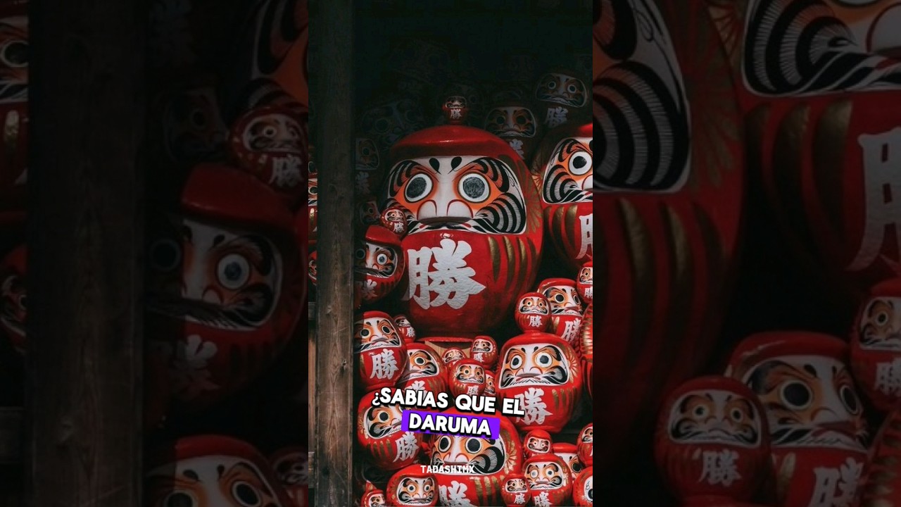 DARUMA #japon #daruma #tradicionjaponesa #monje #tokio #ASIA #japones #vlog #vlogger
