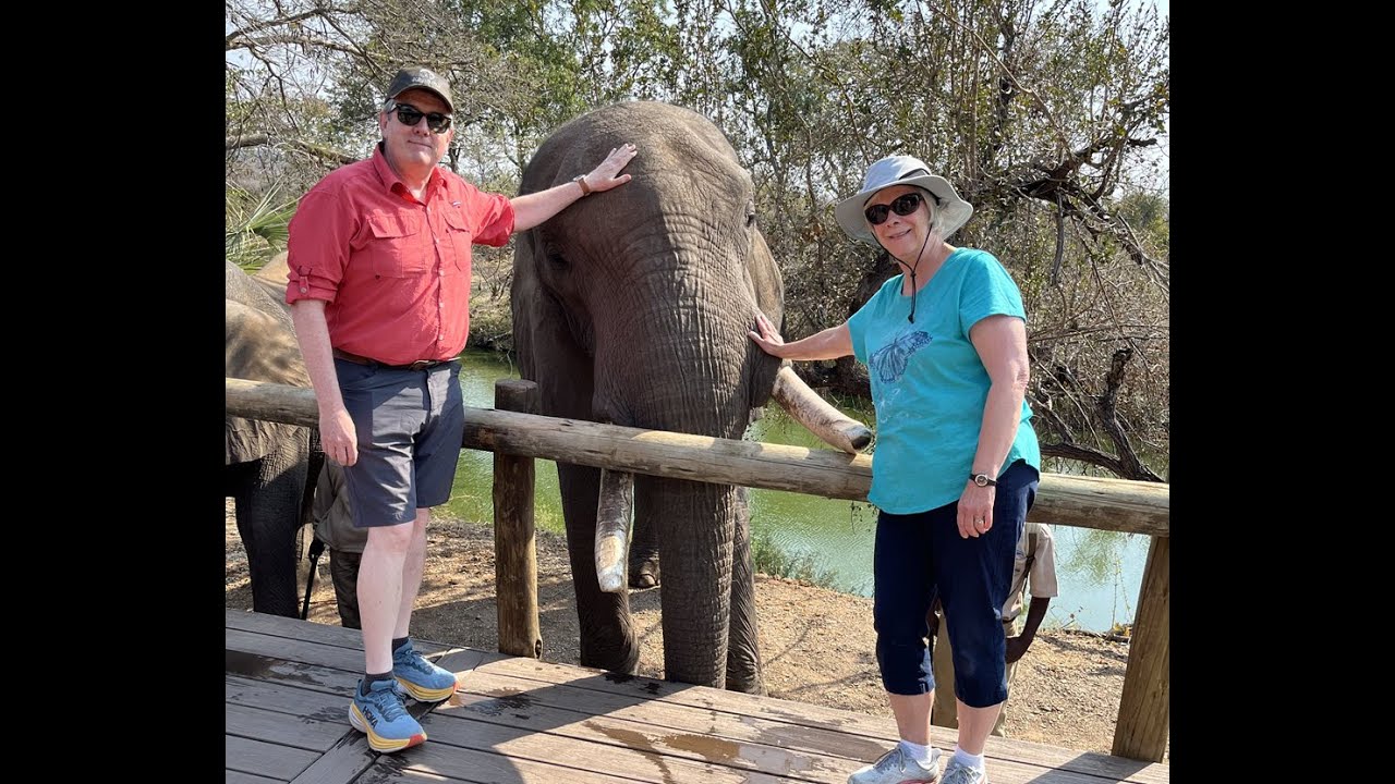 Armchair Traveler: Elephant Encounters and Lunch with a Leopard