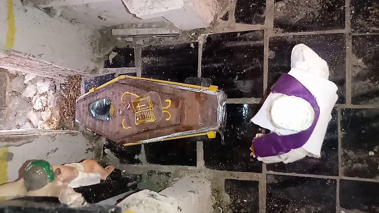 sepultamento de um passarinho  funeraria em miniatura