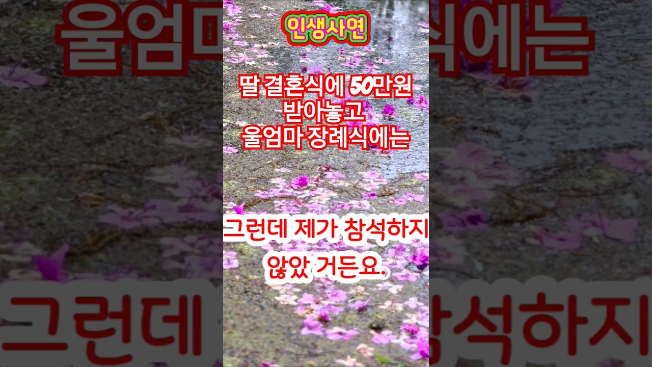 친구 딸 결혼식에 50만원 냈는데... #사이다사연 #감정몰입 #사연공감 #유튜브사연채널 #사연낭독 #배신감 #감동사연 #실화사연 #지혜 #유튜브썰