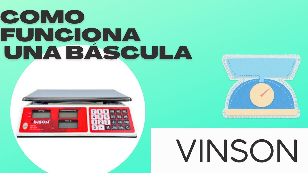 Como funciona una bascula digital? VINSON ⚡