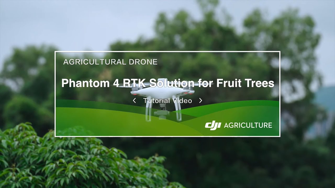 DJI Agriculture: P4R Solution For Fruit Trees