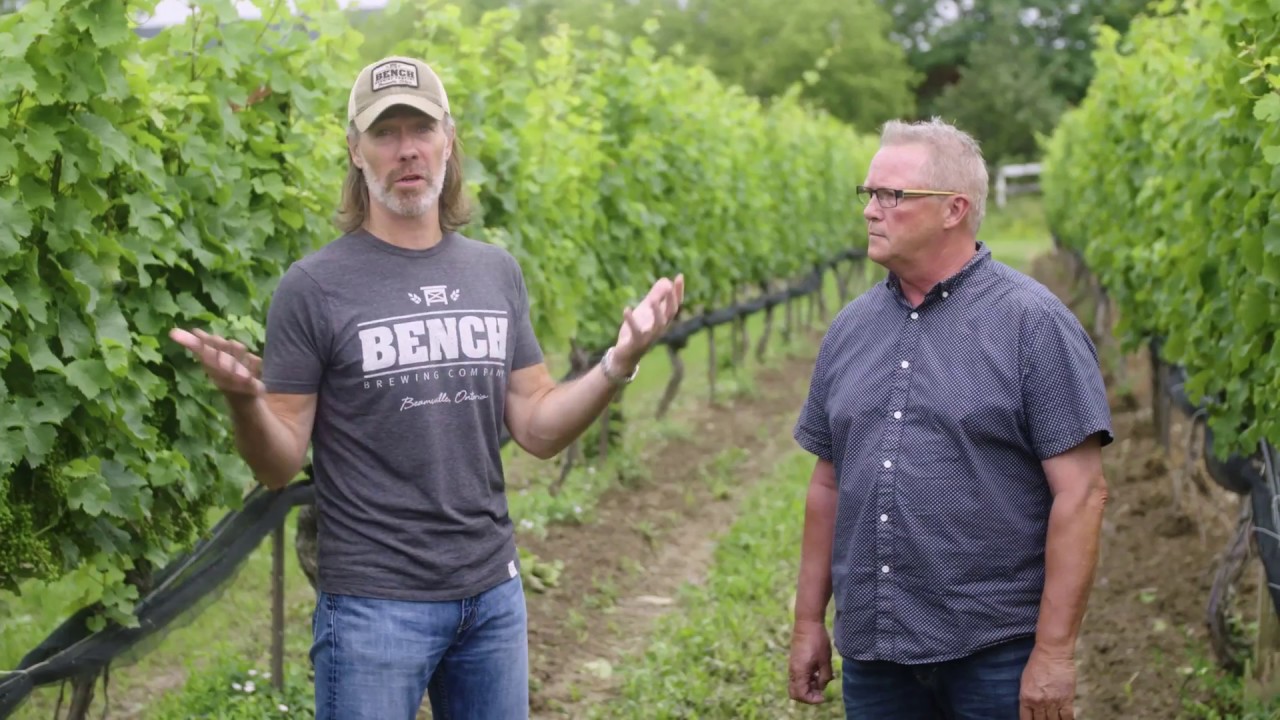 Bench Brewing Chapter 8 - The Beer from Wine Country