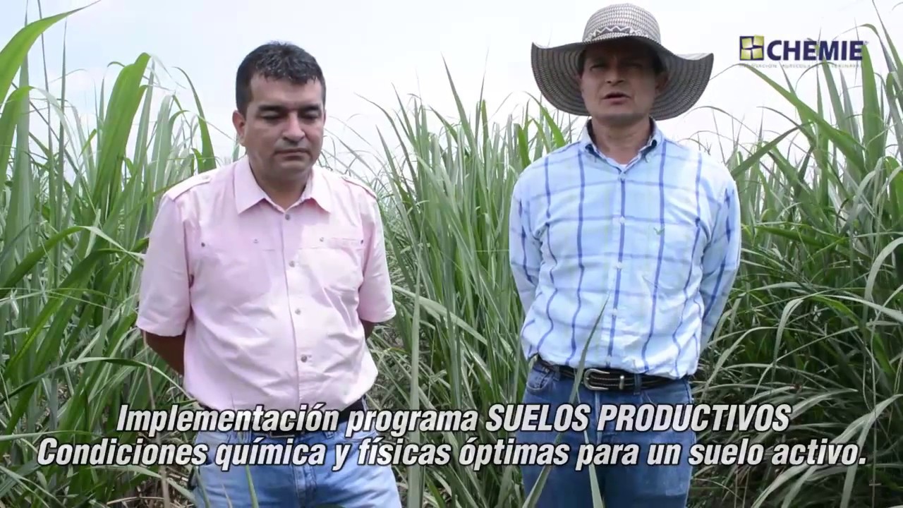 CHEMIE sector cañicultor vallecaucano | Colombia