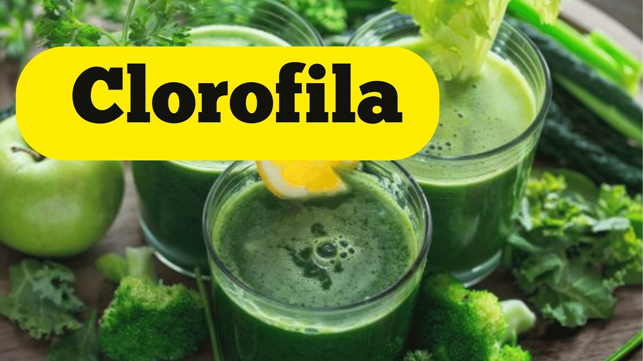 La clorofila: para qu&eacute; sirve, beneficios, propiedades, tipos  y usos