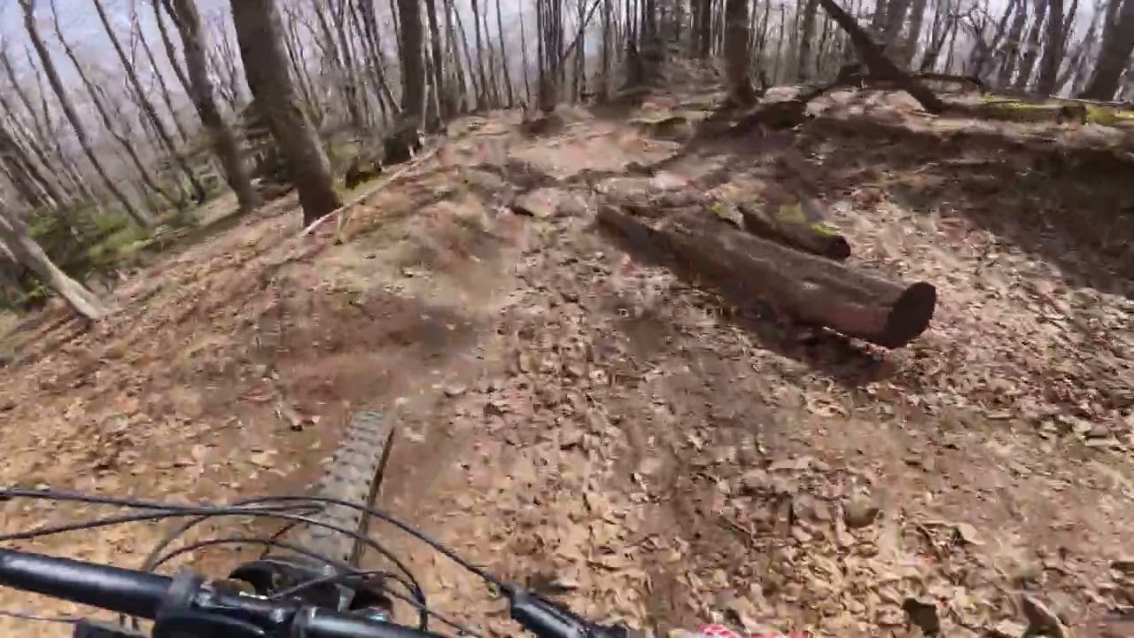 Pinta trail