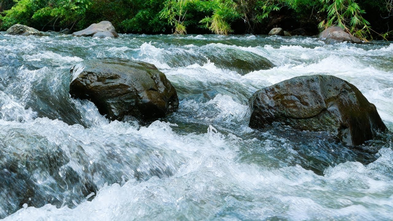 GENTLE STREAM & FOREST SOUNDS, CALMING NATURE SOUNDS FOR STRESS RELIEF