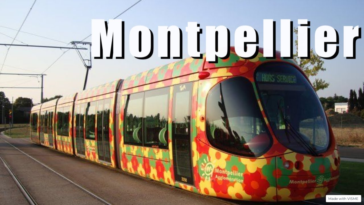 Trams in  Montpellier | Trams with flowers | Line 2 the longest tram in France 🇫🇷