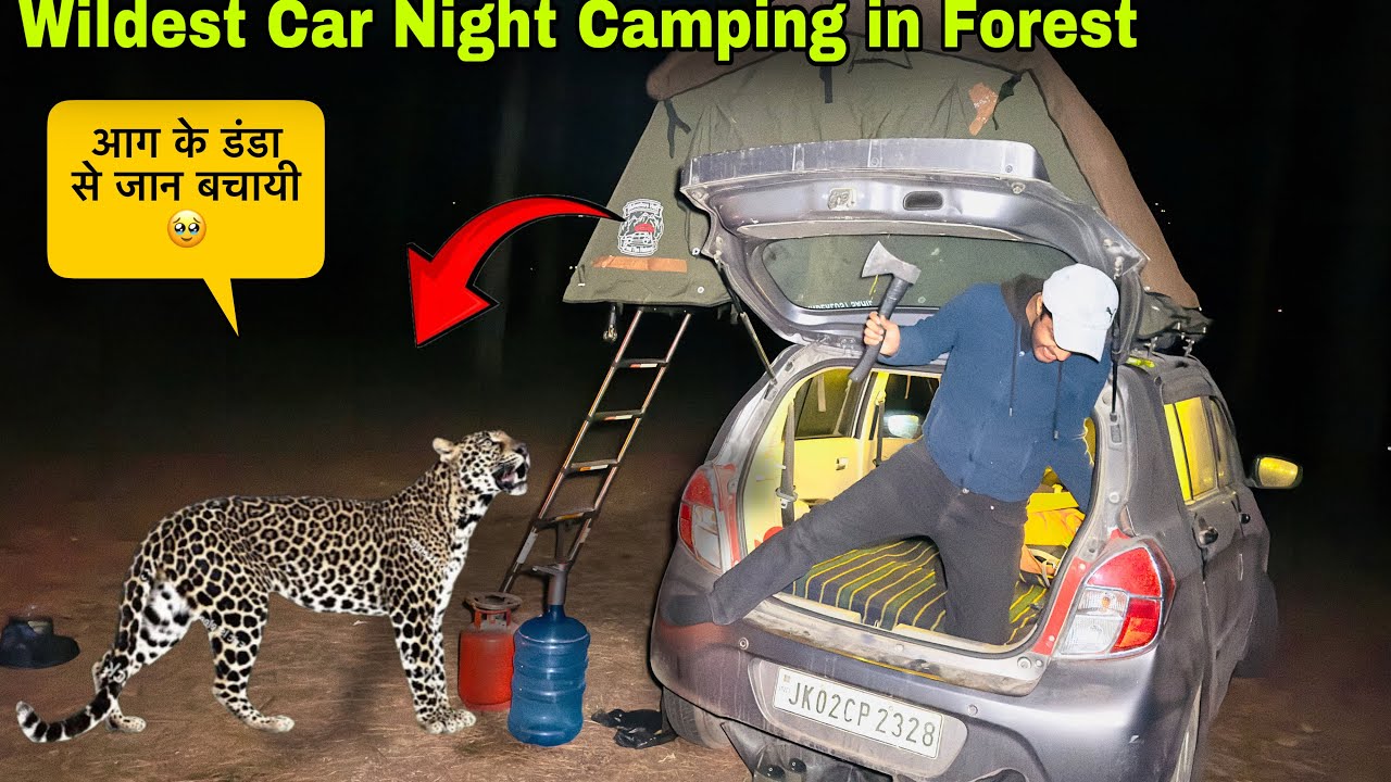 आग के डंडे से जान बचाई | Overnight Car Night Camping in Wild Forest of Kashmir | Camping in India