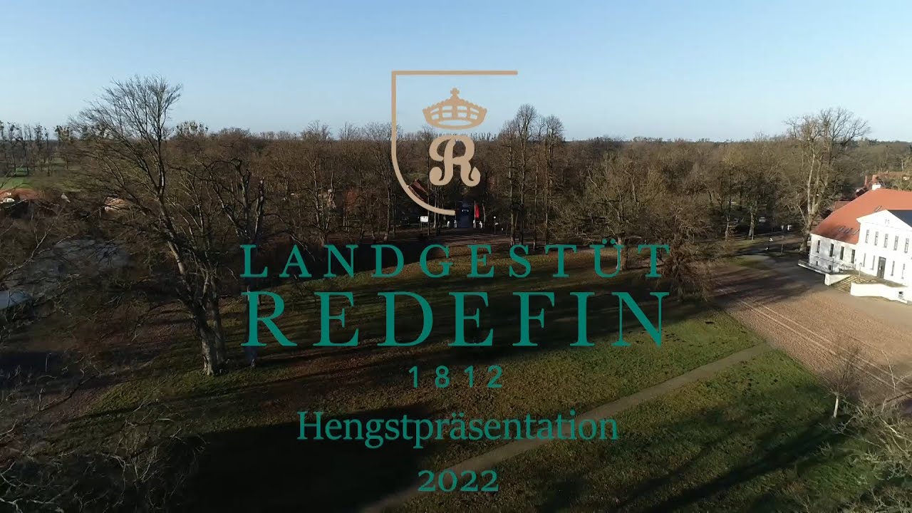 Quat Royal v. Quaterback - Dressage Royal, DSP, Hengst  * 2012