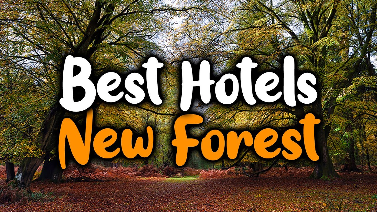 Best Hotels In New Forest - For Families, Couples, Work Trips, Luxury & Budget