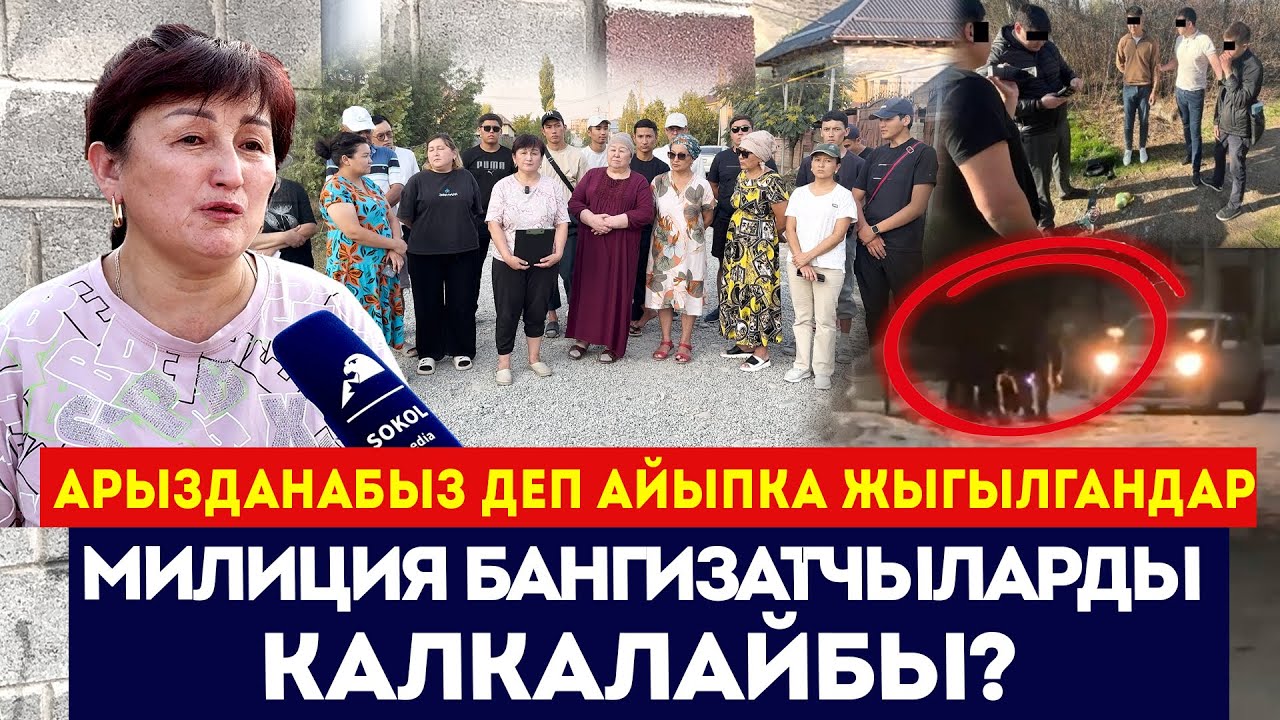 Милиция бангизатчыларды калкалайбы? / Арызданабыз деп айыпка жыгылгандар / Сокол Медиа