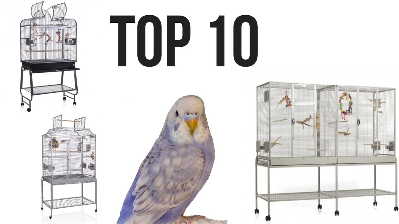 Meine TOP 10 Käfige / Volieren für Wellensittiche