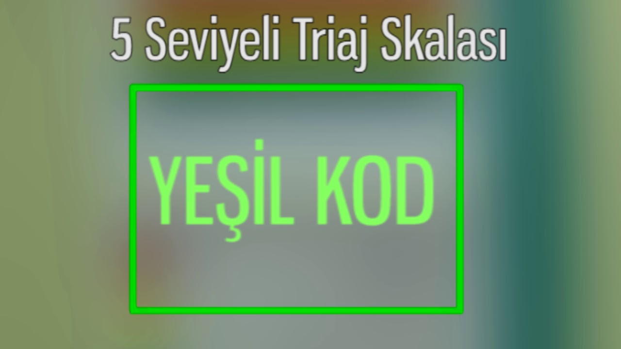 Triaj Sistemi