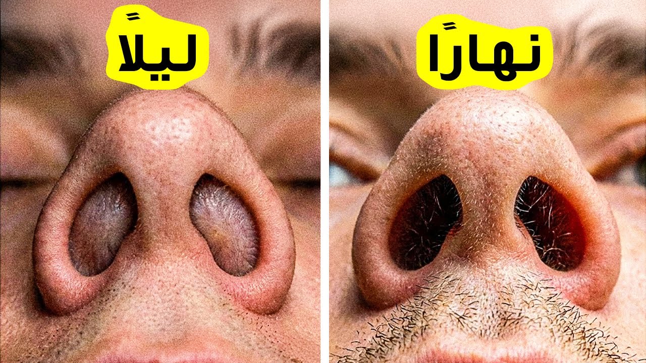 حقائق عن الجسم جعلت العلماء يعيدون النظر مرتين