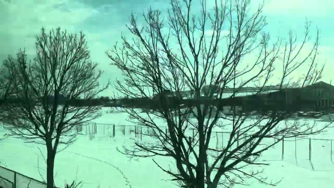 Stouffville Line GO Train Ride: Mount Joy to Union