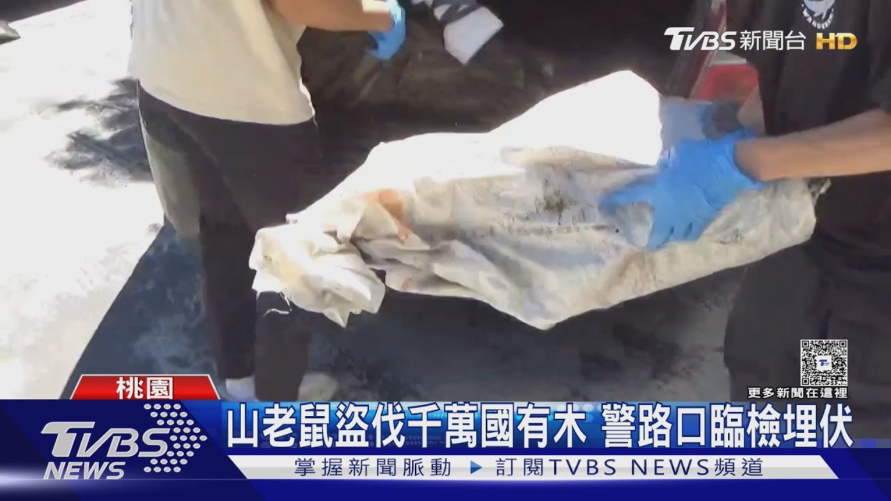 山老鼠盜伐千萬國有木 警路口臨檢埋伏｜TVBS新聞 @TVBSNEWS01