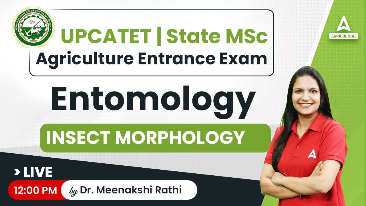ENTOMOLOGY INSECT MORPHOLOGY | UPCATET - MSC Agriculture Entrance Exam | By Dr. Meenakshi Rathi