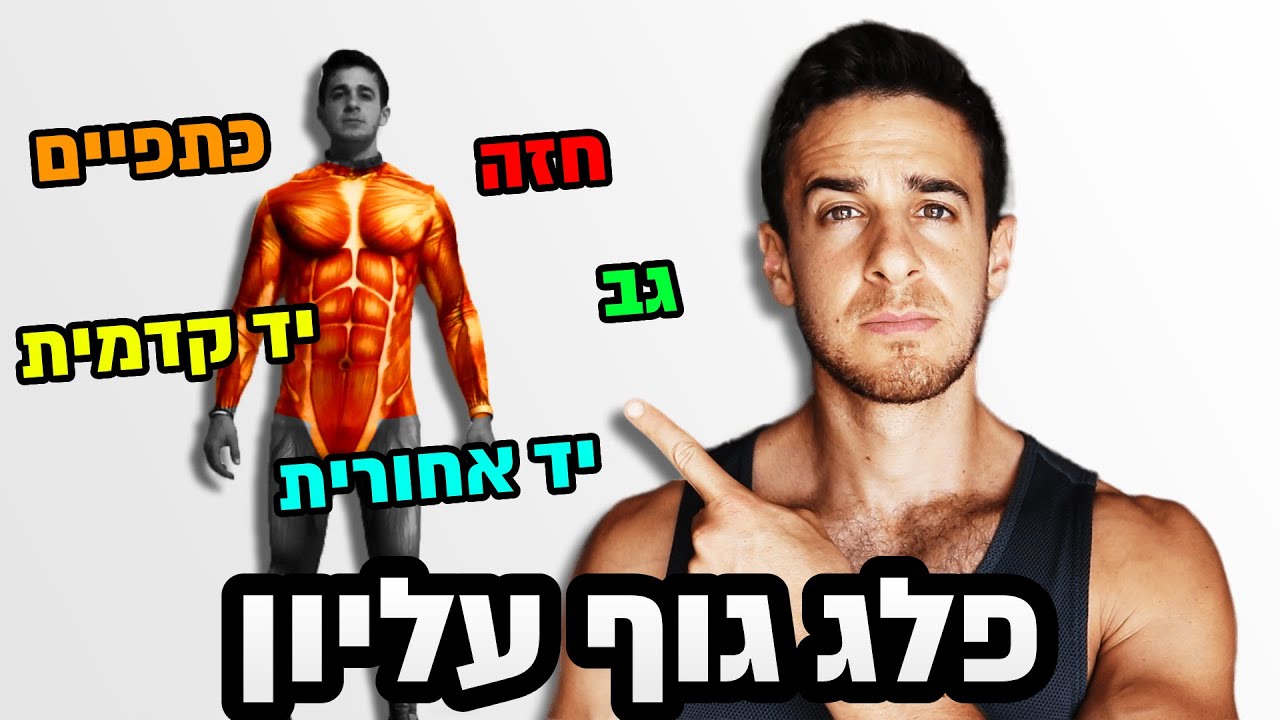 אימון משקולות ביתי - ידיים, כתפיים, גב, חזה | אימון משקולות פלג גוף עליון (לחיטוב וגם למסה)