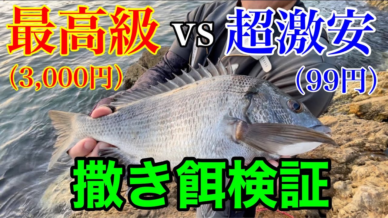 【チヌ釣り】最高級vs超激安の撒き餌で釣果に差はあるのか？