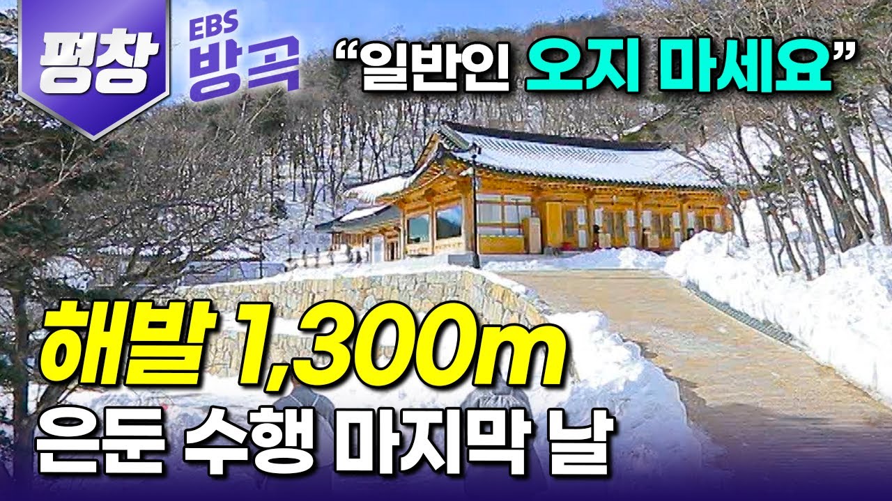 [강원 평창] 해발 1300고지, 스스로 고립 택한 스님들의 겨우내 이어진 90일 칩거 수행의 마지막 날｜산책하는 스님 하나 없는 외딴 암자, 미륵암｜동안거｜#한국기행 #방방곡곡